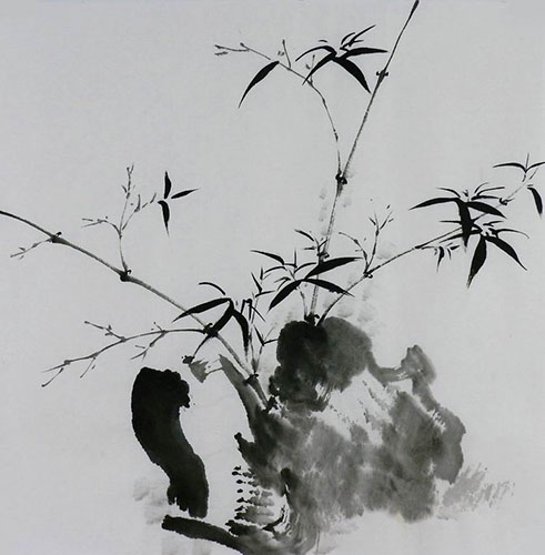 Bamboo,50cm x 50cm(19〃 x 19〃),2407110-z