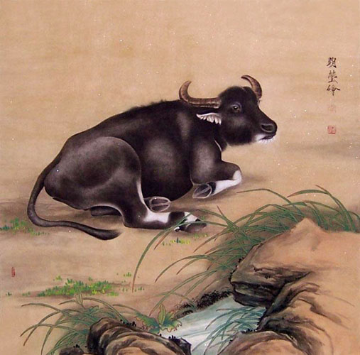 Cattle,66cm x 66cm(26〃 x 26〃),4374011-z