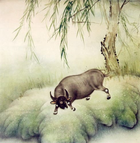 Cattle,66cm x 66cm(26〃 x 26〃),4545003-z