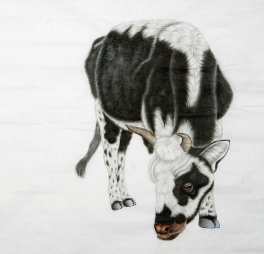 Cattle,66cm x 66cm(26〃 x 26〃),4670016-z