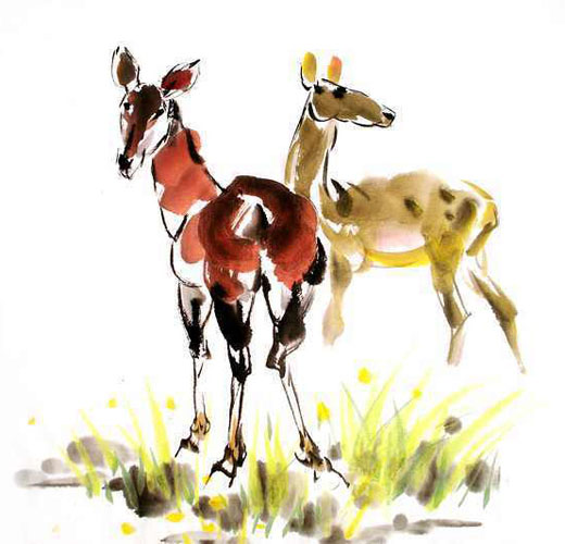 Deer,69cm x 69cm(27〃 x 27〃),4458001-z