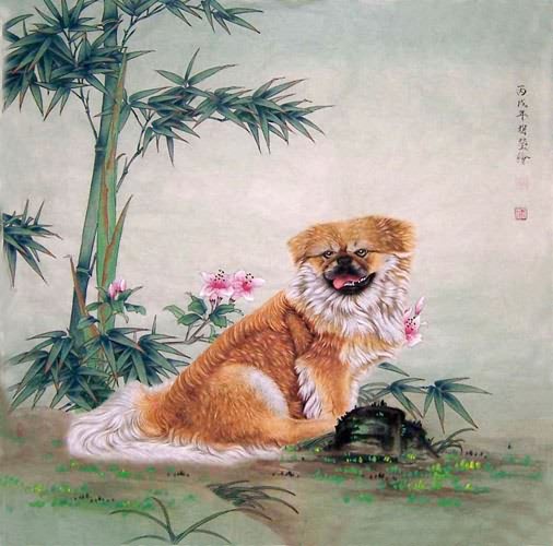 Dog,66cm x 66cm(26〃 x 26〃),4374014-z