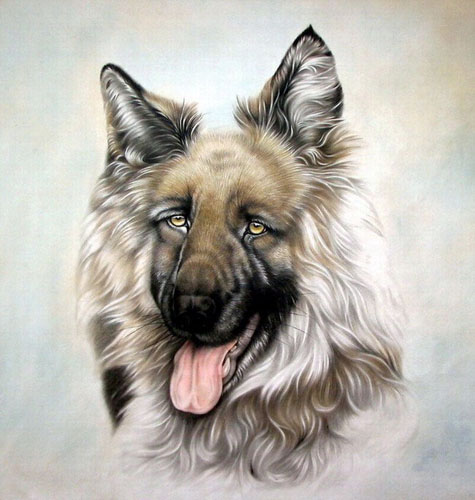 Dog,69cm x 69cm(27〃 x 27〃),4460005-z