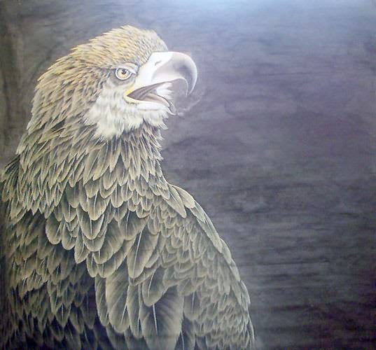 Eagle,68cm x 68cm(27〃 x 27〃),4478004-z