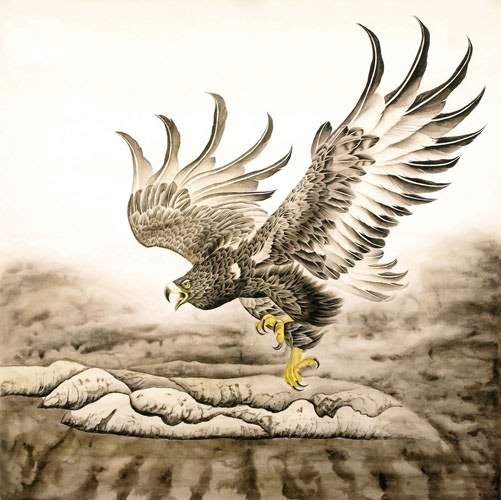 Eagle,66cm x 66cm(26〃 x 26〃),4481002-z