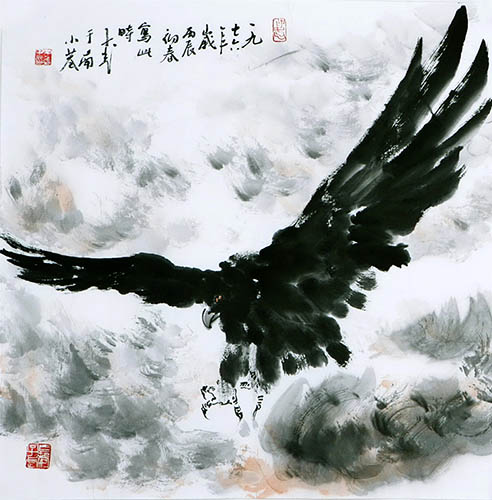 Eagle,68cm x 68cm(27〃 x 27〃),dq41158003-z