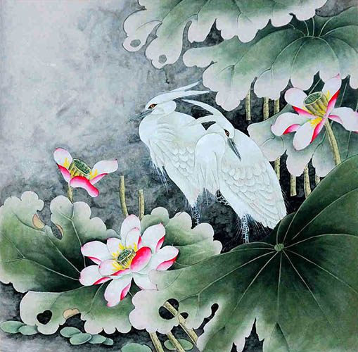 Egret,66cm x 66cm(26〃 x 26〃),2449017-z