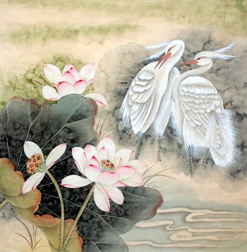 Egret,69cm x 69cm(27〃 x 27〃),2614037-z