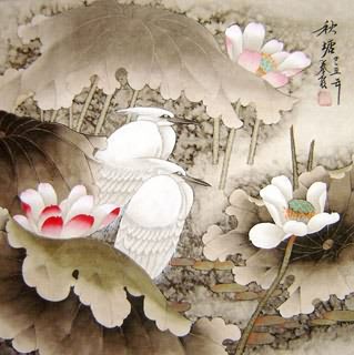 Qin Xia