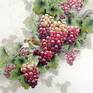 Chinese Grape Painting,66cm x 66cm,2387012-x