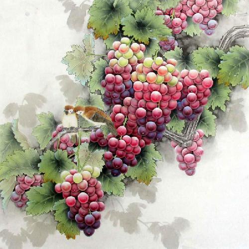 Grape,66cm x 66cm(26〃 x 26〃),2387012-z