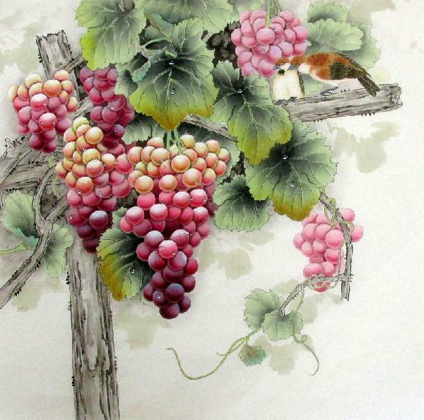 Grape,66cm x 66cm(26〃 x 26〃),2387015-z