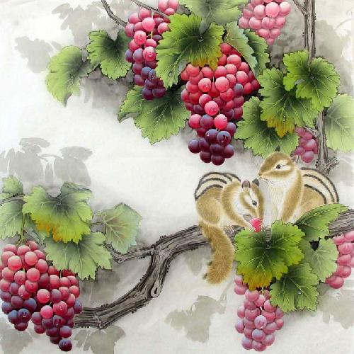 Grape,66cm x 66cm(26〃 x 26〃),2387016-z