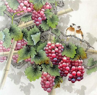 Chinese Grape Painting,66cm x 66cm,2387019-x