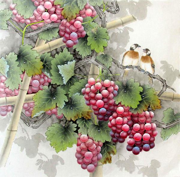 Grape,66cm x 66cm(26〃 x 26〃),2387019-z