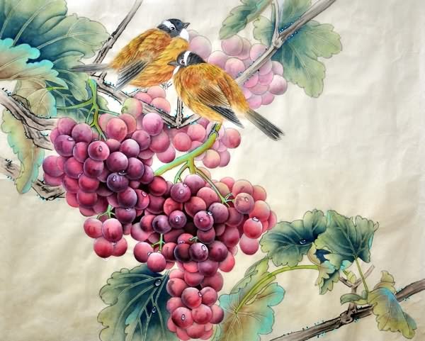 Grape,45cm x 57cm(18〃 x 22〃),2416019-z