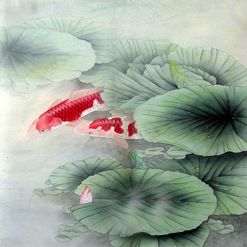 Koi Fish,66cm x 66cm(26〃 x 26〃),2324041-z