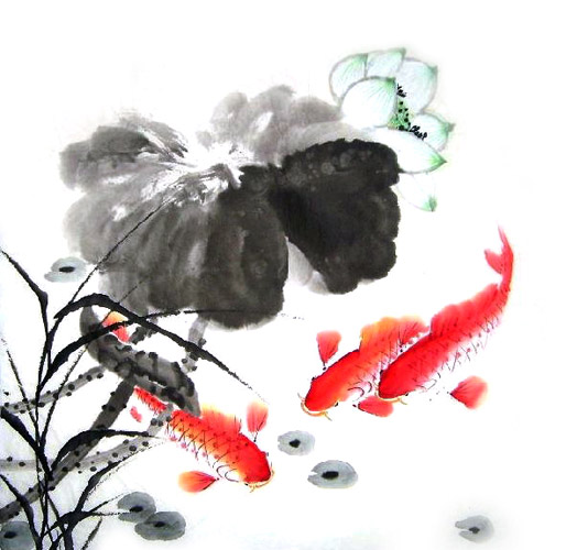 Koi Fish,66cm x 66cm(26〃 x 26〃),2326012-z