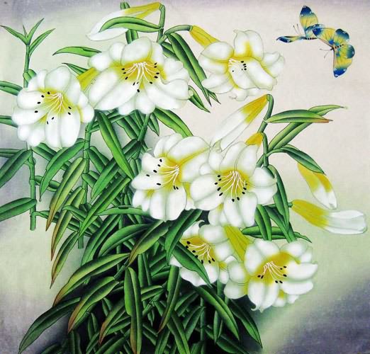 Lily,69cm x 69cm(27〃 x 27〃),2383007-z