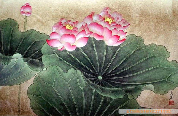 Lotus,50cm x 33cm(19〃 x 13〃),2320004-z