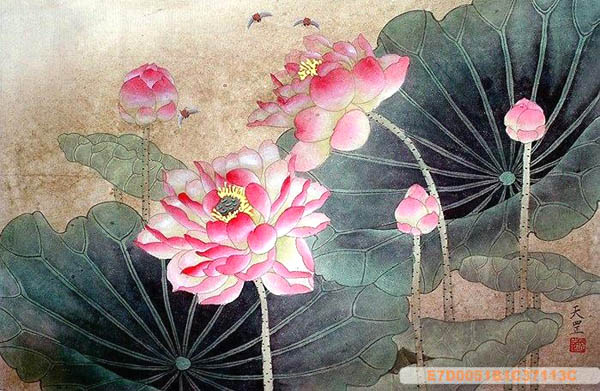 Lotus,50cm x 33cm(19〃 x 13〃),2320006-z