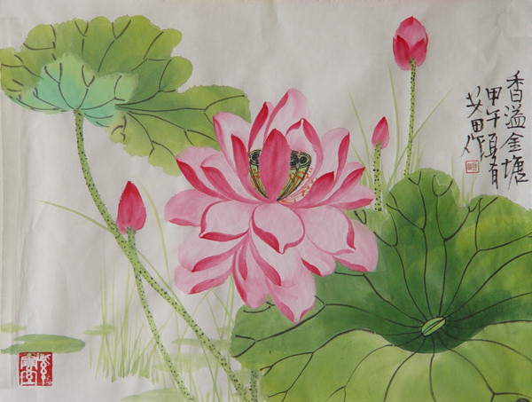 Lotus,34cm x 46cm(13〃 x 18〃),2388014-z