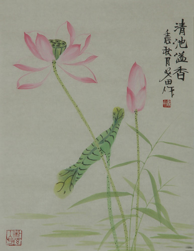 Lotus,34cm x 46cm(13〃 x 18〃),2388019-z