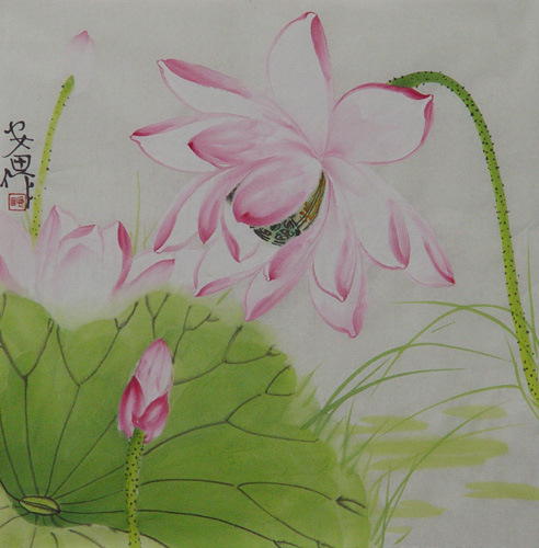 Lotus,34cm x 34cm(13〃 x 13〃),2388027-z