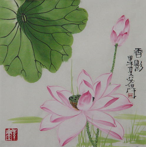 Lotus,34cm x 34cm(13〃 x 13〃),2388033-z