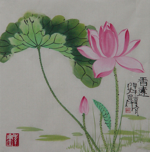 Lotus,34cm x 34cm(13〃 x 13〃),2388034-z