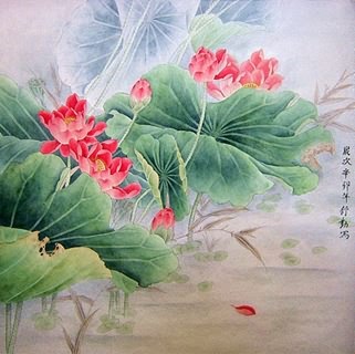 Shu Qin