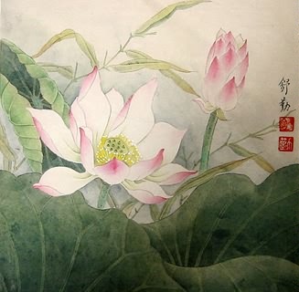 Shu Qin