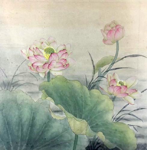 Lotus,68cm x 68cm(27〃 x 27〃),2574020-z