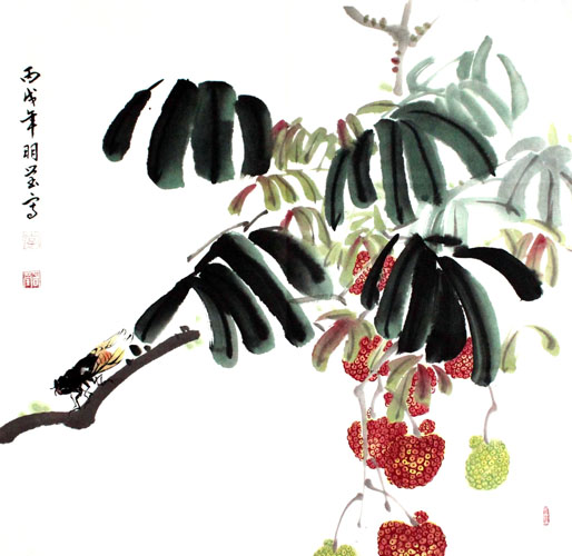 Lychee,50cm x 50cm(19〃 x 19〃),2374002-z