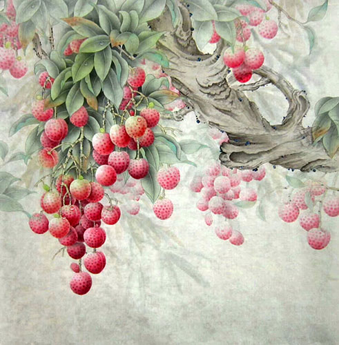 Lychee,68cm x 68cm(27〃 x 27〃),2574037-z