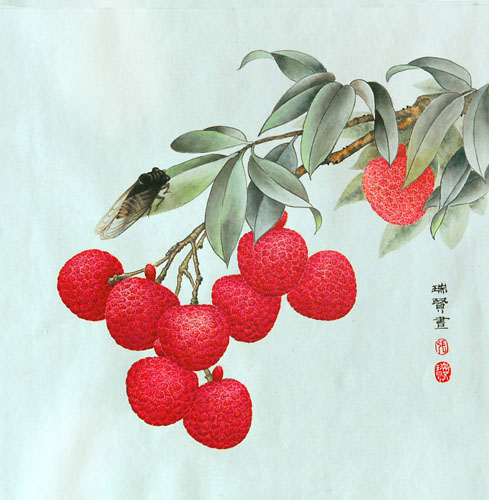 Lychee,33cm x 33cm(13〃 x 13〃),2610001-z