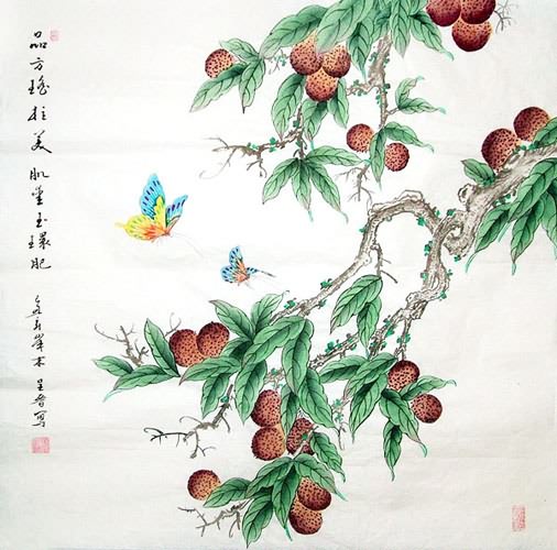 Lychee,69cm x 69cm(27〃 x 27〃),2617056-z