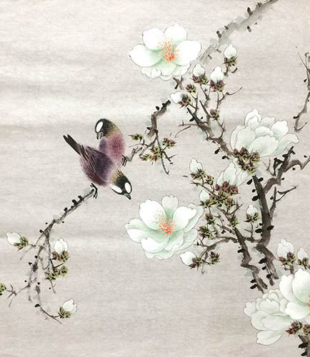 Magnolia,40cm x 50cm(16〃 x 19〃),2011015-z