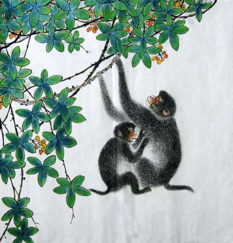 Monkey,69cm x 69cm(27〃 x 27〃),4449029-z