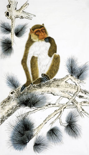 Monkey,70cm x 120cm(27〃 x 47〃),4616006-z