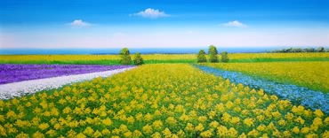 Landscape Oil Painting,50cm x 120cm,6158020-x