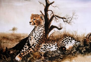 Animal Oil Painting,60cm x 90cm,6458004-x