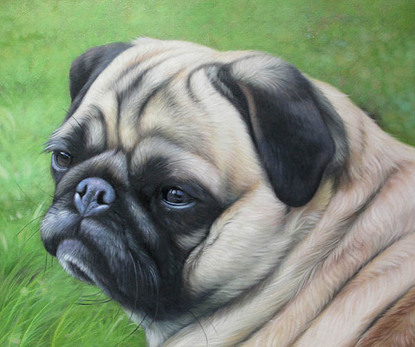 Animal Oil Painting,50cm x 60cm(19〃 x 24〃),cjz6486001-z