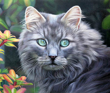 Animal Oil Painting,50cm x 60cm,cjz6486004-x