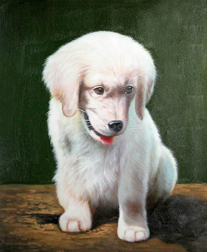 Animal Oil Painting,50cm x 60cm(19〃 x 24〃),cjz6486007-z