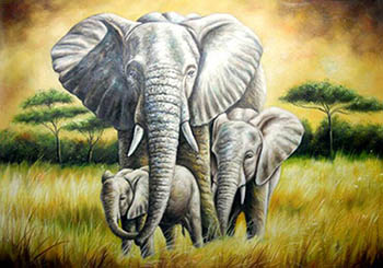 Animal Oil Painting,60cm x 90cm,wyh6485007-x