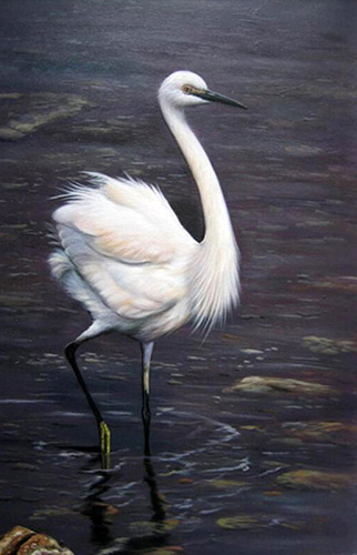 Animal Oil Painting,60cm x 90cm(23〃 x 35〃),wyh6485013-z