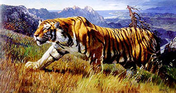 Animal Oil Painting,60cm x 120cm,wyh6485022-x