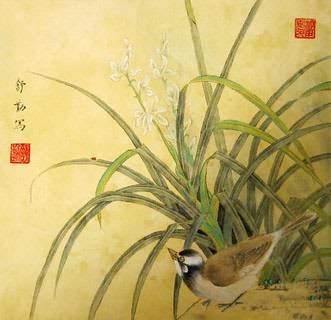 Shu Qin