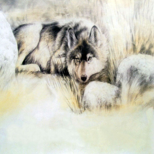 Other Animals,98cm x 98cm(38〃 x 38〃),4733012-z